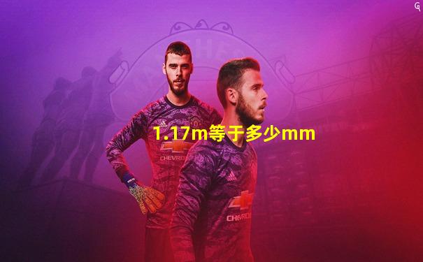 1.17m等于多少mm