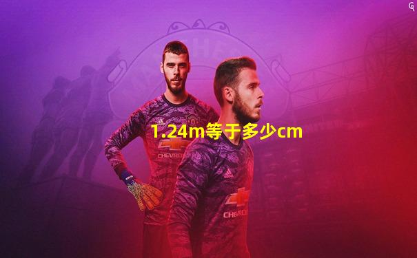 1.24m等于多少cm