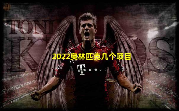 2022奥林匹克几个项目