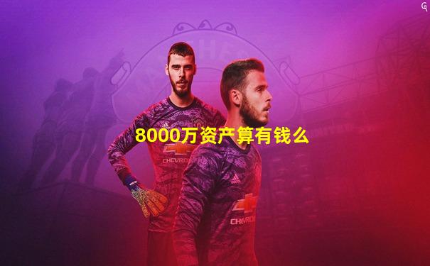8000万资产算有钱么