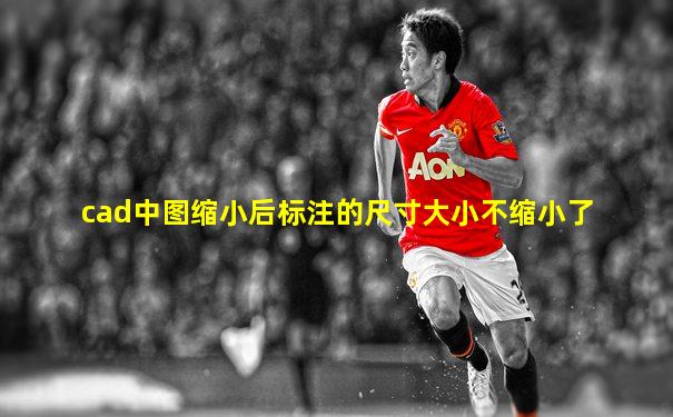 cad中图缩小后标注的尺寸大小不缩小了