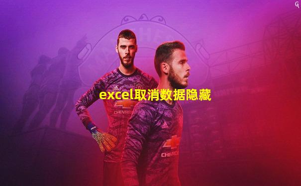 excel取消数据隐藏