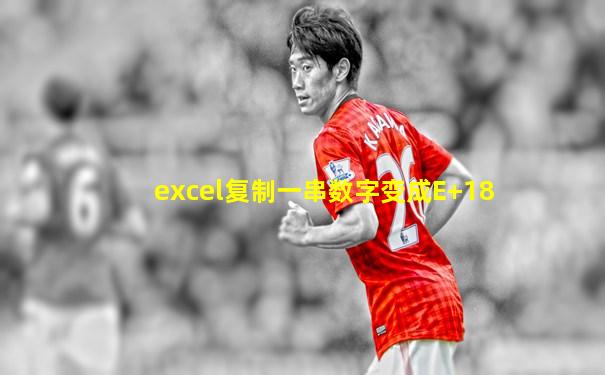 excel复制一串数字变成E+18