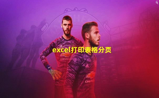 excel打印表格分页