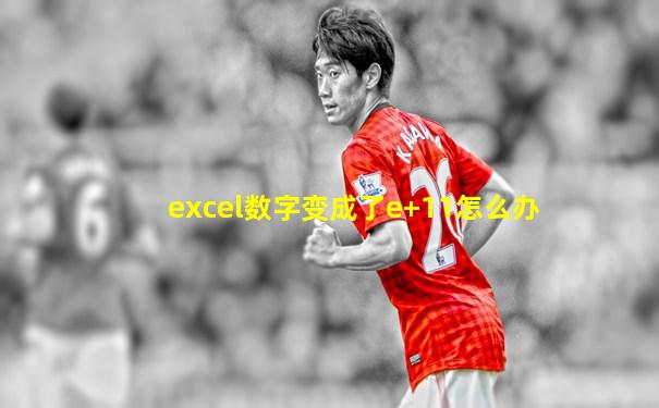 excel数字变成了e+11怎么办