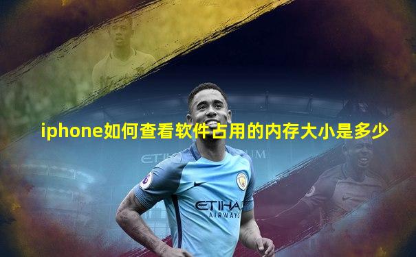 iphone如何查看软件占用的内存大小是多少