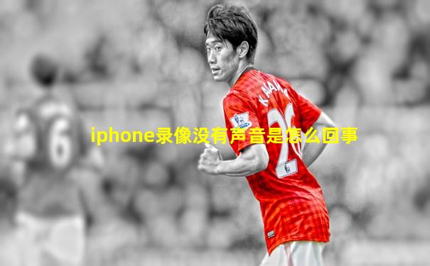 iphone录像没有声音是怎么回事