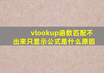 vlookup函数匹配不出来只显示公式是什么原因