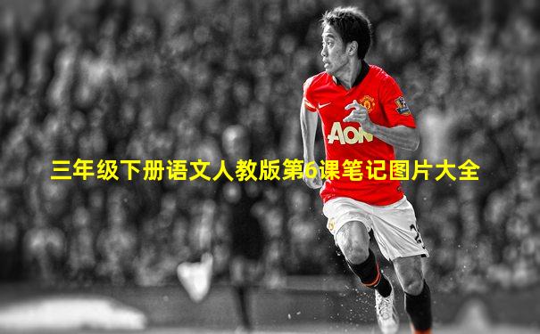 三年级下册语文人教版第6课笔记图片大全