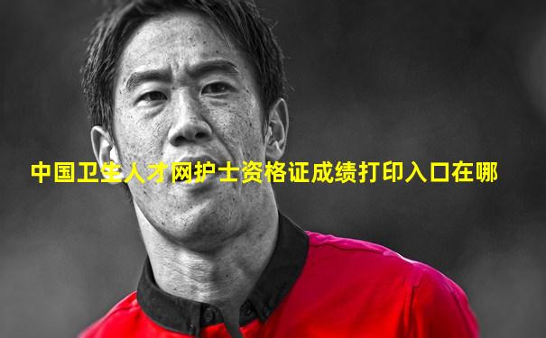 中国卫生人才网护士资格证成绩打印入口在哪