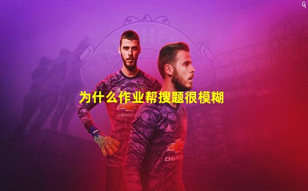 为什么作业帮搜题很模糊