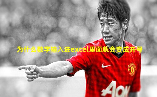 为什么数字输入进excel里面就会变成井号