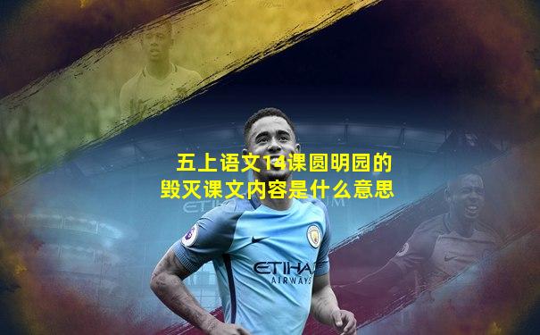 五上语文14课圆明园的毁灭课文内容是什么意思