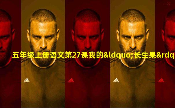 五年级上册语文第27课我的“长生果”