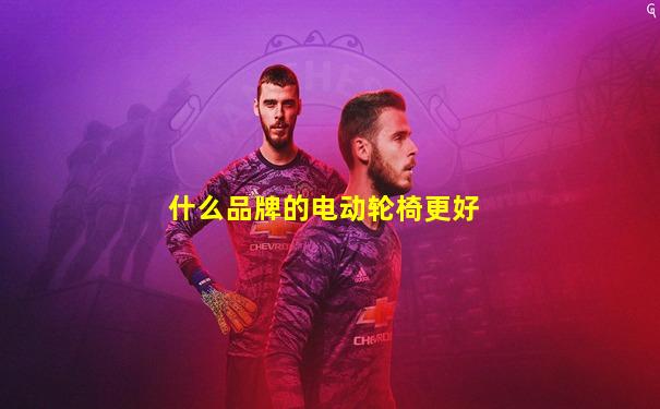 什么品牌的电动轮椅更好