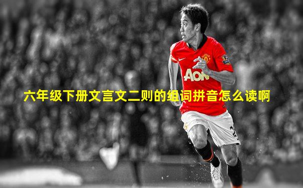 六年级下册文言文二则的组词拼音怎么读啊