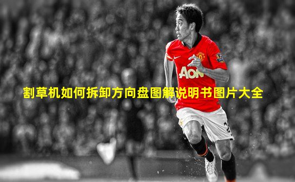 割草机如何拆卸方向盘图解说明书图片大全
