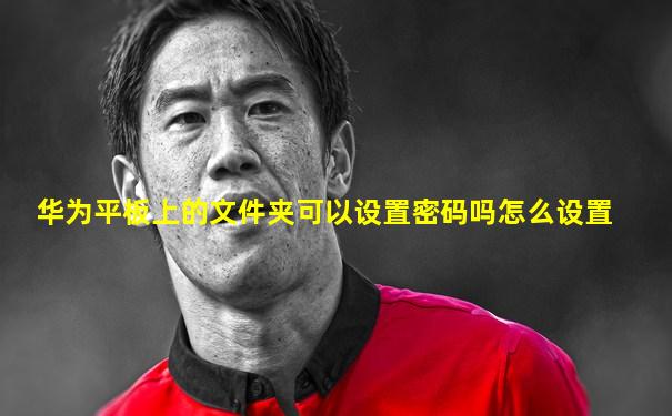 华为平板上的文件夹可以设置密码吗怎么设置