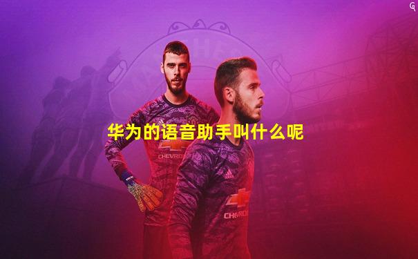 华为的语音助手叫什么呢