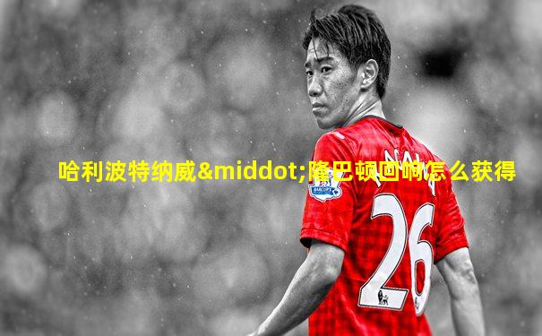 哈利波特纳威·隆巴顿回响怎么获得