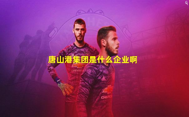 唐山港集团是什么企业啊