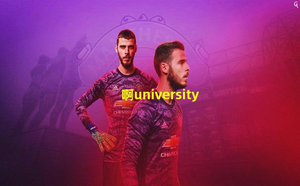 啊university
