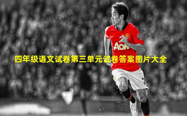 四年级语文试卷第三单元试卷答案图片大全