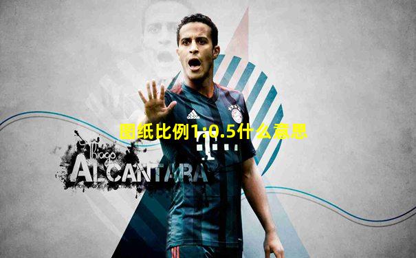 图纸比例1:0.5什么意思