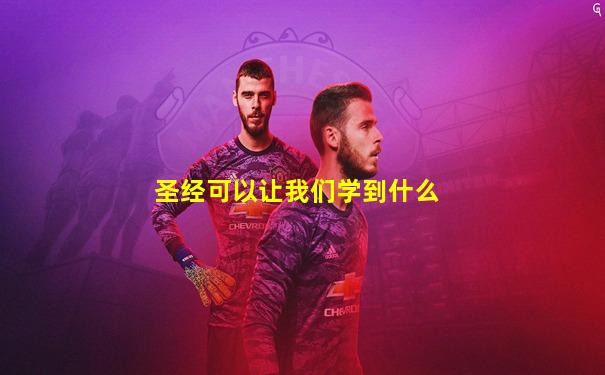 圣经可以让我们学到什么