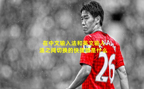 在中文输入法和英文输入法之间切换的快捷键是什么