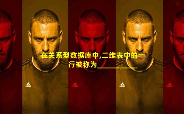 在关系型数据库中,二维表中的一行被称为___________