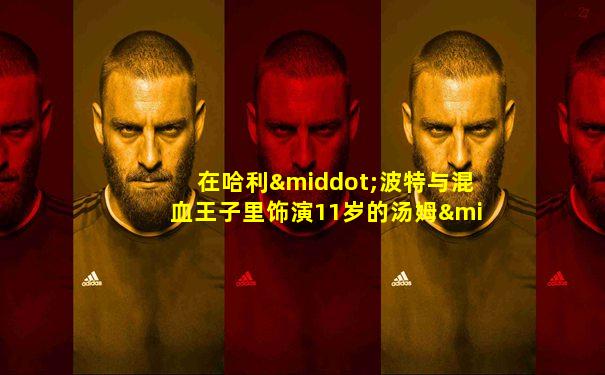 在哈利·波特与混血王子里饰演11岁的汤姆·里德尔