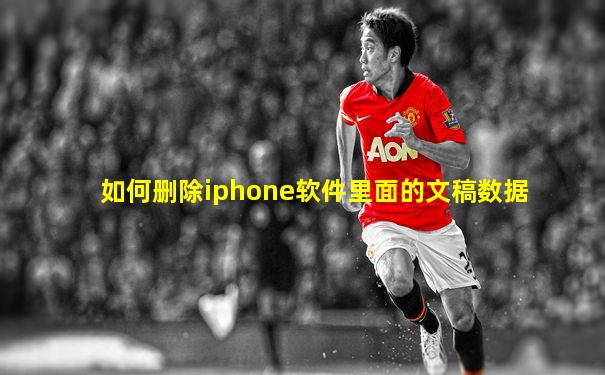 如何删除iphone软件里面的文稿数据