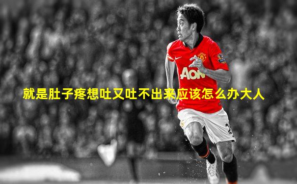 就是肚子疼想吐又吐不出来应该怎么办大人