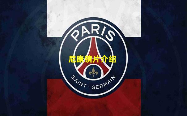 尼康镜片介绍
