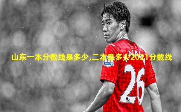 山东一本分数线是多少,二本是多少2021分数线