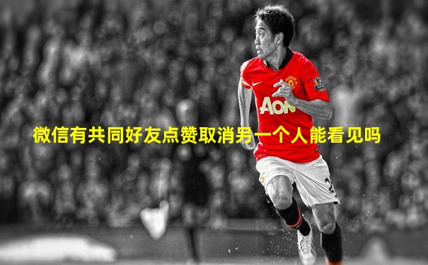 微信有共同好友点赞取消另一个人能看见吗