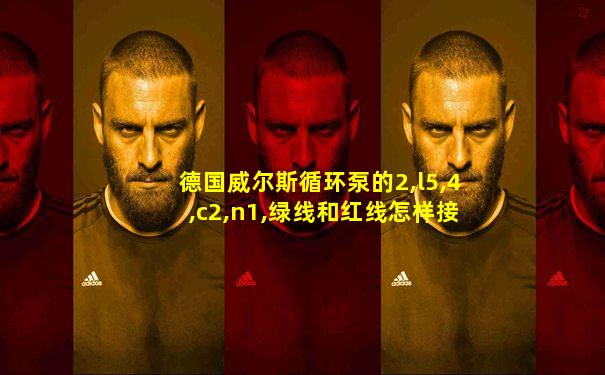 德国威尔斯循环泵的2,l5,4,c2,n1,绿线和红线怎样接