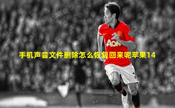 手机声音文件删除怎么恢复回来呢苹果14