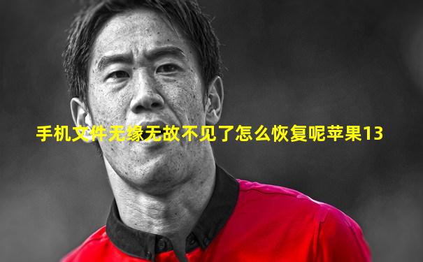 手机文件无缘无故不见了怎么恢复呢苹果13
