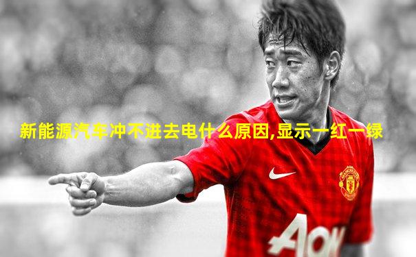 新能源汽车冲不进去电什么原因,显示一红一绿