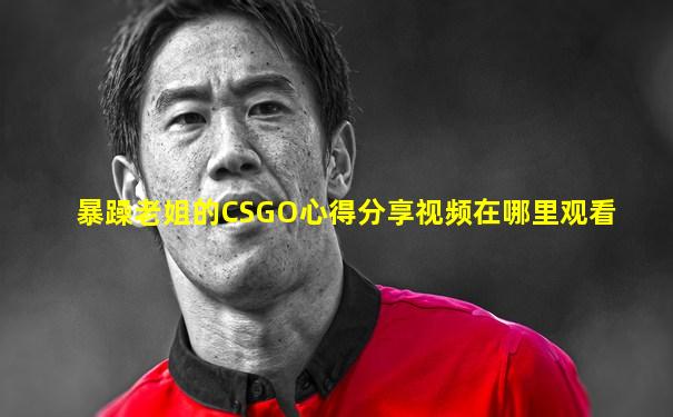 暴躁老姐的CSGO心得分享视频在哪里观看