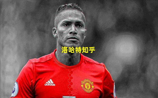 洛哈特知乎