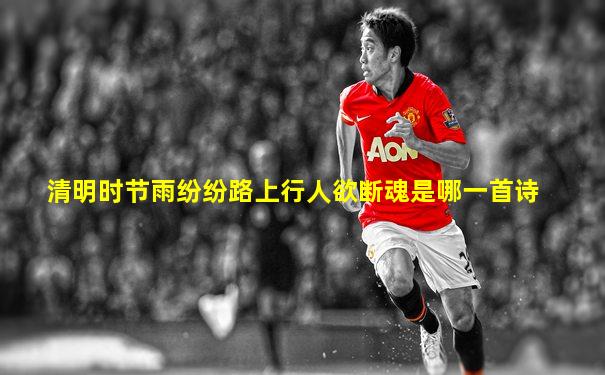 清明时节雨纷纷路上行人欲断魂是哪一首诗