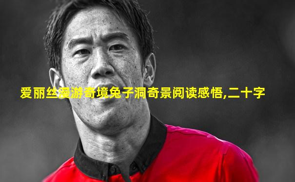 爱丽丝漫游奇境兔子洞奇景阅读感悟,二十字