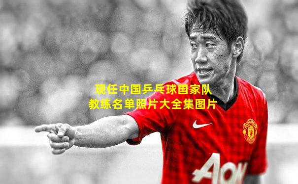 现任中国乒乓球国家队教练名单照片大全集图片