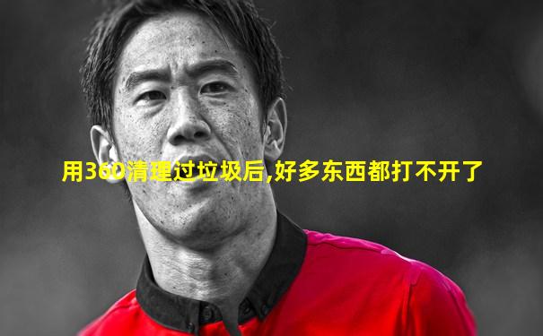 用360清理过垃圾后,好多东西都打不开了