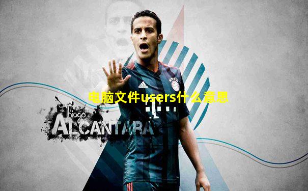 电脑文件users什么意思