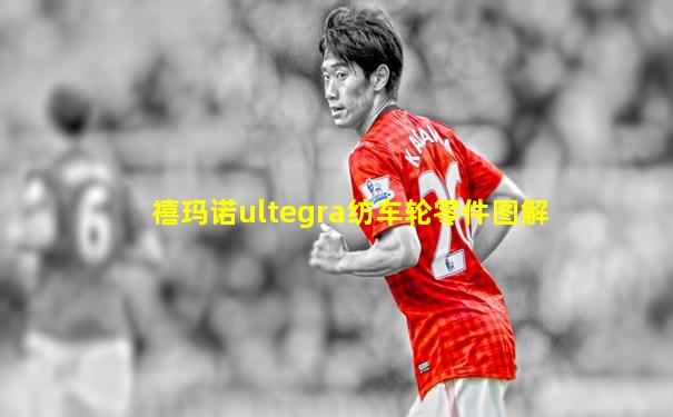 禧玛诺ultegra纺车轮零件图解