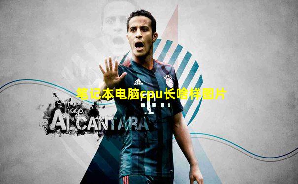 笔记本电脑cpu长啥样图片